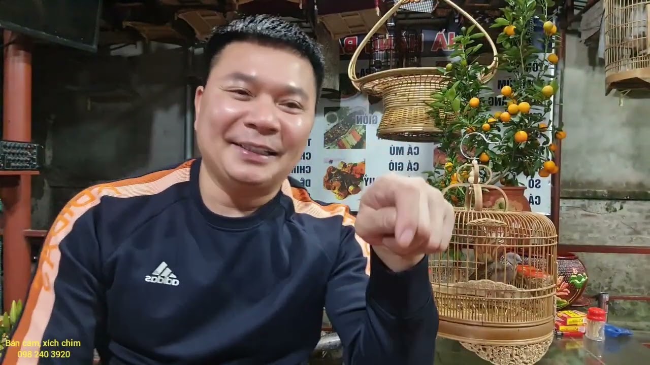 Cách đào tạo*cu gáy khách* chuẩn công thức.