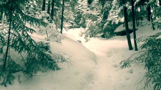 Elmore Fire Tower Trail Day Hike