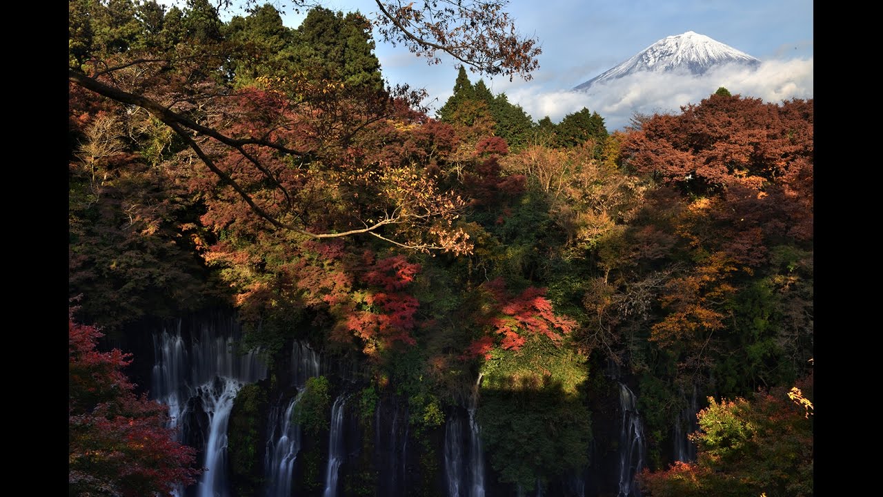 秋の紅葉と白糸の滝 富士宮市 富士山も見れましたよ Youtube