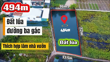 Đất Cần Giuộc Giá Rẻ| Đất lúa đường ba gác thích hợp làm nhà vườn ra đường lớn 100m.