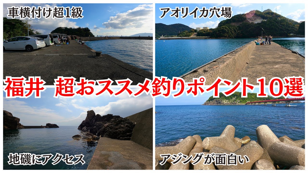 【決定版】福井の釣り超厳選ポイント！エギング、車横付け、青物まで、多様な釣りを楽しめるポイントを徹底解説。初心者、ファミリーも大満足な総集編/Fishing spots in Japan Fukui