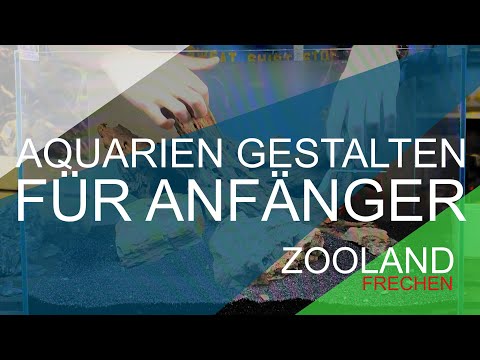 Video: Einrichten eines Aquariums: Ein Leitfaden für Anfänger