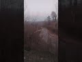 بخش جالب زنده