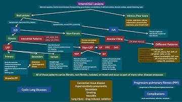 New - REF Classroom III - Unified Approach to ILDs - Basics & Advanced - 2025 Aug Guidelines Updated