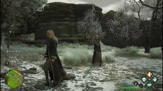 ps4 Hogwarts Legacy rpg questing 8/21/2026