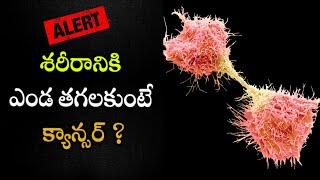 శరీరానికి ఎండ తగలకుంటే క్యాన్సర్  Vitamin Deficiency Lead to Cancer | Haritha Talks |