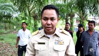 รายการคนไทยหัวใจเกษตร  21 ธันวาคม 2559 B3 กรมพัฒ