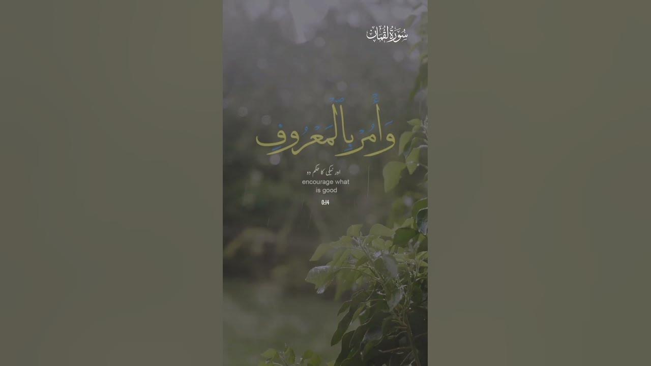 verse-abt-purpose-of-quran-surah-6-ayat-70-allah-muhammad-quran