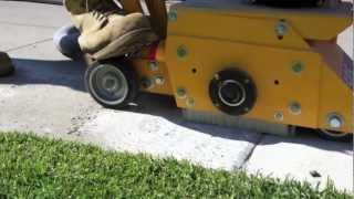 SMITH SPS10 Sidewalk Grinding 'Wheelsup' Instructions