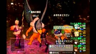魔鳥の頭目 ドラクエ10 弱点 耐性 重さ 魔鳥の頭目 ドラクエ10 弱点 耐性 重さ