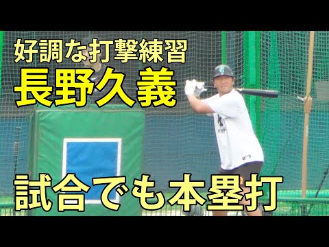 長野久義　好調な打撃練習　試合でも本塁打　鎌ヶ谷スタジアム　2025.8.9