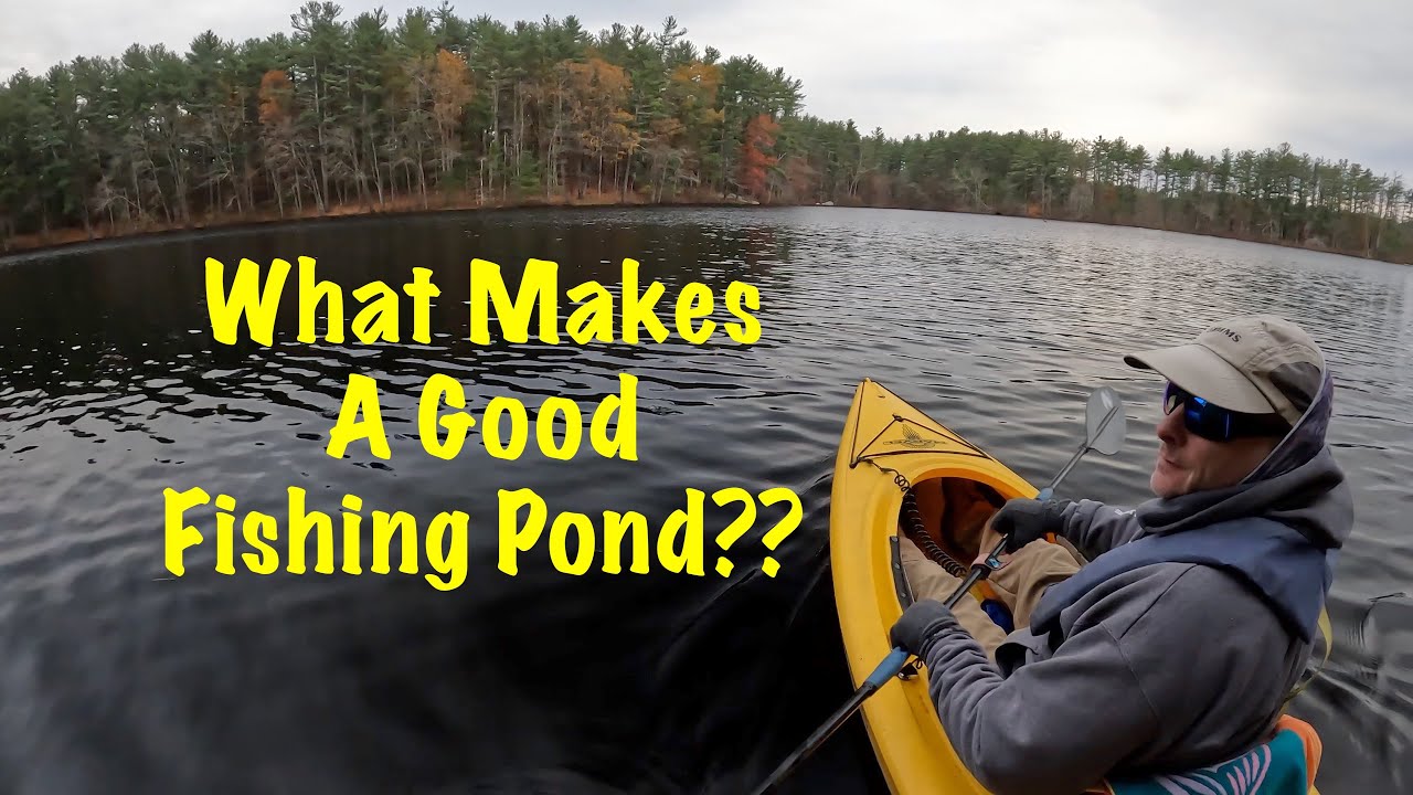 What Makes a Good Fishing Pond?? 