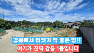 강릉에서 집짓기 딱 좋은 땅! 여기가 진짜 강릉1등입니다 #강릉부동산 #강릉토지 #박소장