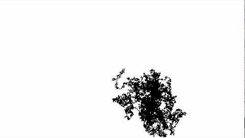 Random Path Animation 1