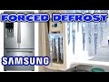 How to Defrost the Ice Maker chamber on Samsung Refrigerators with FORCED DEFROST Mode DIY