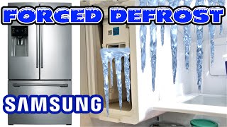 How to Defrost the Ice Maker chamber on Samsung Refrigerators with FORCED DEFROST Mode DIY