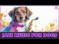Jazz Music For Dogs | Calming Smooth Jazz to Relax Your Dog