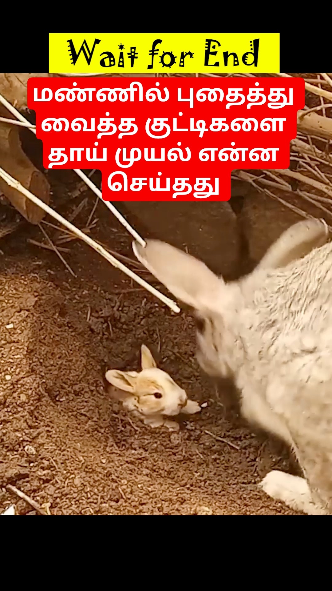 ⭐விஜய் தொலைக்காட்சி - ShareChat
