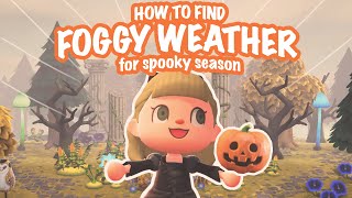 HOW TO FIND FOGGY WEATHER FOR SPOOKY SEASON! 🎃 Weather Prediction | Animal Crossing New Horizons