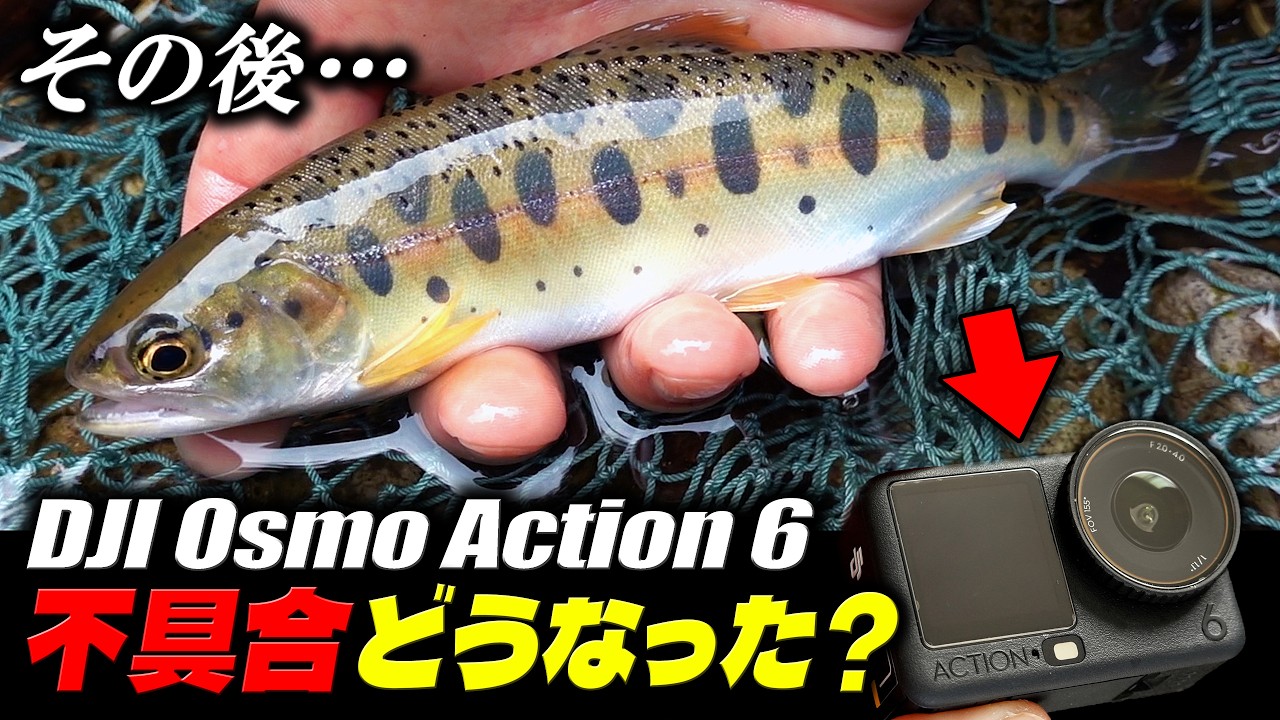 【渓流ルアー】森の緑と輝く銀鱗、秋田の渓流で夏ヤマメを追う「DJI Osmo Action 6 あの不具合を最終検証」