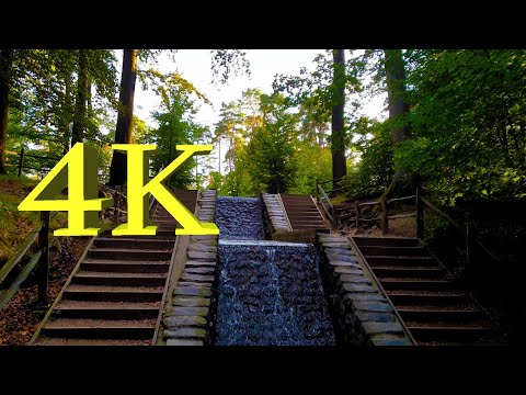 4k walking forest with Nature