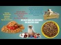 Aracrest Discount Dog Supplies Online - Everything For Dogs Aracrest Discount Dog Supplies Online - Everything For Dogs