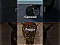Maxwell vs floppa