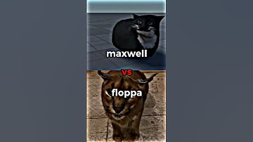 maxwell vs floppa
