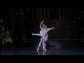 Sleeping Beauty Act 3 Pas de Deux - Jeffrey Cirio and Misa Kuranaga