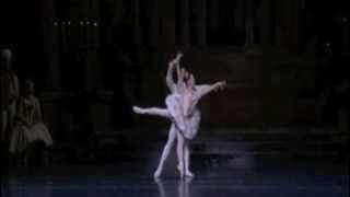 Sleeping Beauty Act 3 Pas de Deux - Jeffrey Cirio and Misa Kuranaga