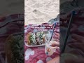 #shorts the perfect friday afternoon - eating tacos at the beach with my sister in California