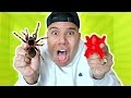 GUMMY FOOD vs. REAL FOOD CHALLENGE!! (EATING LIVE SPIDERS) GIANT GUMMY FOOD