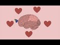 Cómo funciona el cerebro enamorado?