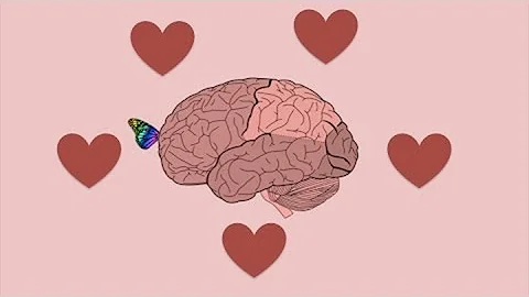¿Qué ocurre en tu cerebro cuando te sientes atraído por alguien?