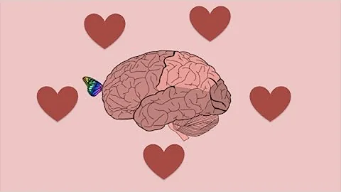 ¿Qué desencadena el amor en el cerebro?