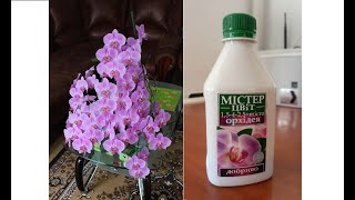 Удобрение для орхидеи. Fertilizer for orchids