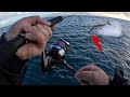 Light tackle tuna  high speed spinning