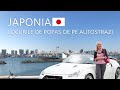 Japonia locurile de popas de pe autostrazile suspendate