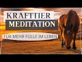 Manifestiere deine Traum-Zukunft 🔸 Krafttier MEDITATION ‘Pferd’