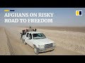 Desperate Afghans risk dangerous escapes to Iran by climbing a wall or driving through the desert