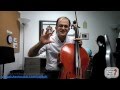 Cello Lesson - How to Play The Swan by Saint-Saens