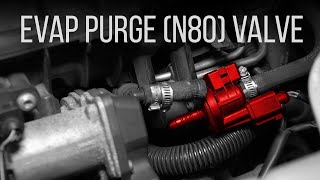 How to Replace EVAP Purge (N80) Valve on a B7 Audi A4 2.0L TFSI 20052008