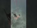 Practice Freediving #viral #shorts