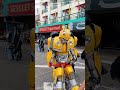 Bumblebee transformers shortshorts