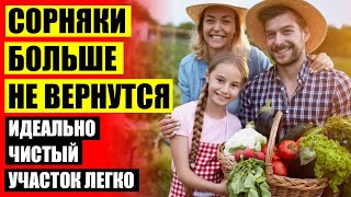 Защита растений от вредителей и болезней натуральными средствами