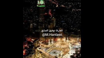 تلاوة من سورة نوح | توفيق الصايغ |