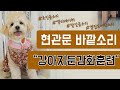 Outside Sound Doorbell 현관문바깥소리 외부소리 초인종소리 음식배달기사님소리 엘리베이터소리 발걸음소리 옆집도어락소리 강아지둔감화훈련 10분 Outside Sound Doorbell 현관문바깥소리 외부소리 초인종소리 음식배달기사님소리 엘리베이터소리 발걸음소리 옆집도어락소리 강아지둔감화훈련 10분