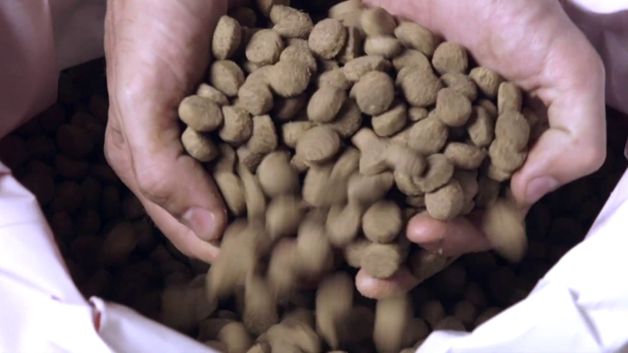 Fragola Spa – Pet Food Plant, Italy – HD 1080p