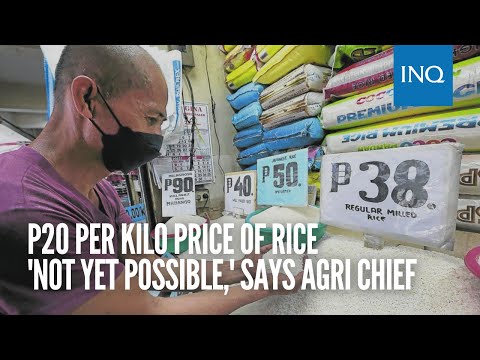 P20 per kilo price of rice 'not yet possible,' says agri chief