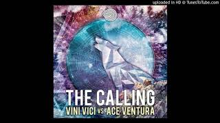 Vini Vici & Ace Ventura - The Calling 432 Hz